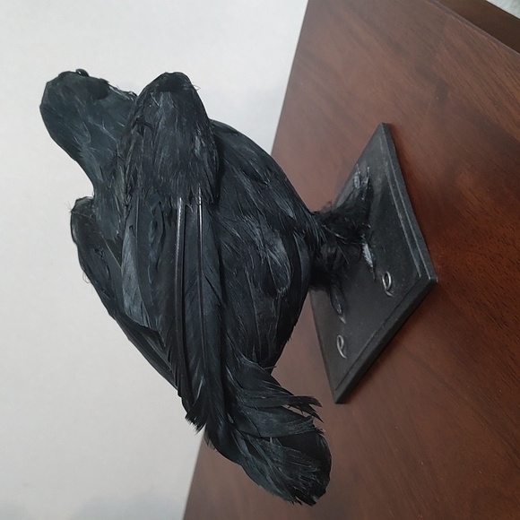 Black Raven Crow Sculpture Real Feathers Bird Halloween Decor Movie Set Prop - Picture 10 of 14